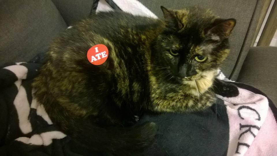 13133108_10154850184408957_1214401135281152833_n